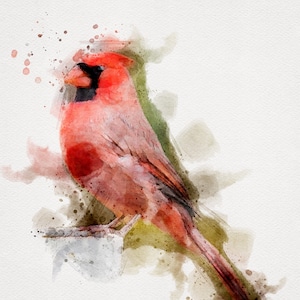 CARDINAL Painting, Cardinal Digital Print, Watercolor Bird Printables, Cardinal Watercolor Painting, Cute Bird Painting, Printable Bird Art