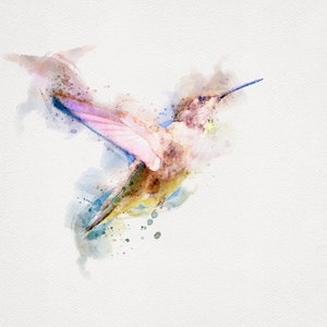 Colorful Hummingbird Watercolor Painting, Hummingbird Wall Art, Hummingbird Watercolor Original, Humming Bird Wall Art, Hummingbird Download
