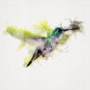 Watercolor Hummingbird Painting, Annas Hummingbird, Watercolor Hummingbird Painting, Hummingbird Download, 8x10 Wall Art Download, Wall Art