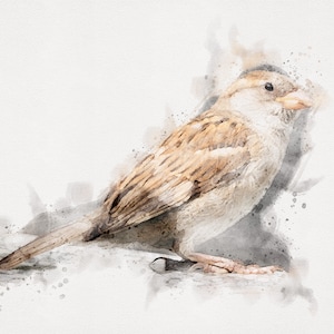 Peinture SPARROW, Impression d’oiseau imprimable, Impressions d’oiseaux à l’aquarelle, Impressions d’oiseaux 8x10, Oiseau moineau, Impression moineau, Peinture aquarelle moineau
