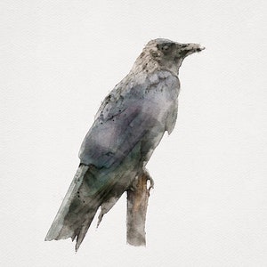 CROW Painting Watercolor, Crow Raven, Crow Watercolor, Crow Wall Art, Crow Bird, Watercolor bird printables, Bird Prints, 8x10 Art Crow Art