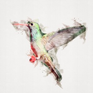 Colorful Hummingbird Watercolor Original, Hummingbird Print 8x10, Humming Bird Wall Art, Hummingbird Wall Art, Printable Watercolor Wall Art