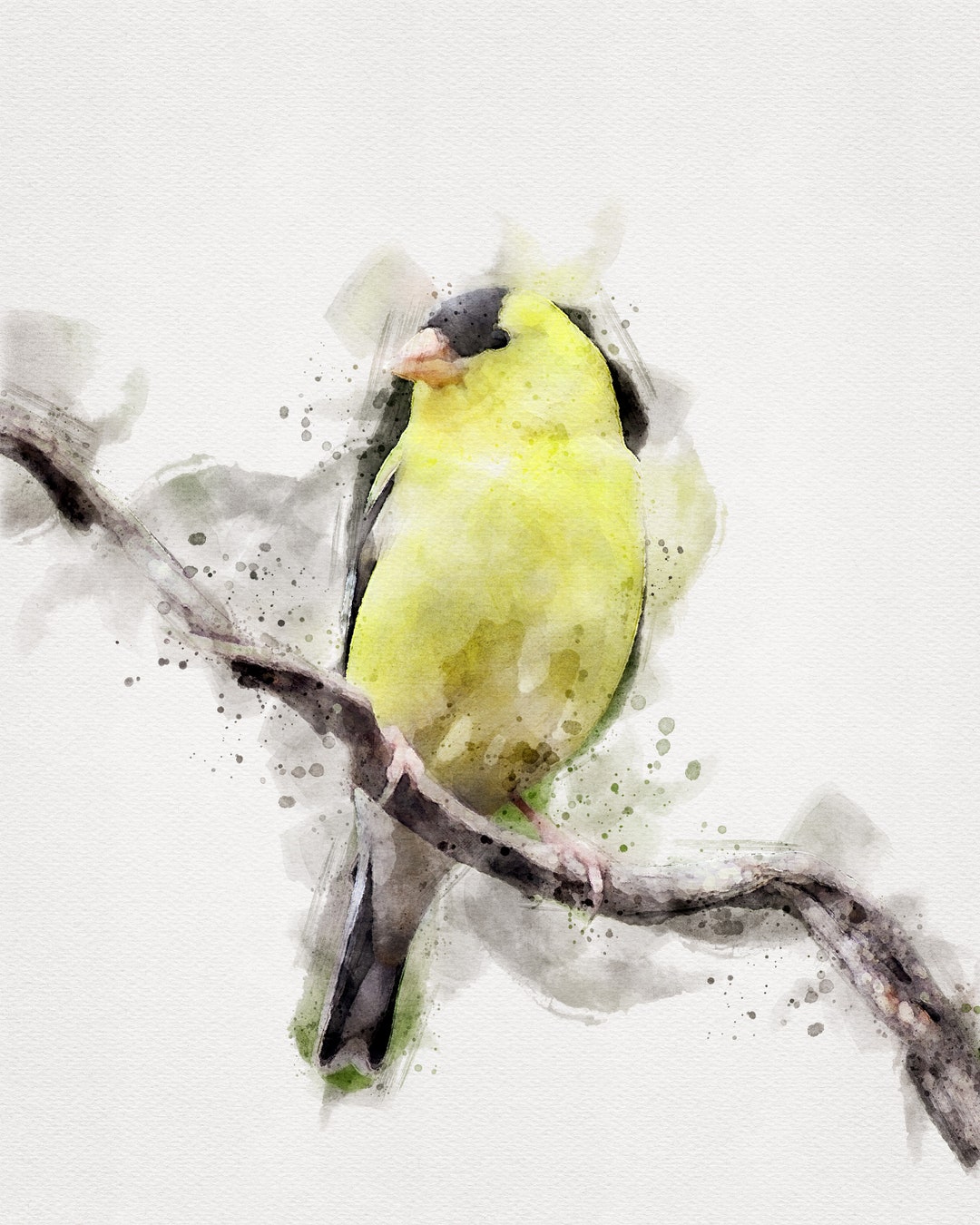 GOLD FINCH Wall Art Goldfinch Painting Goldfinch Watercolor - Etsy