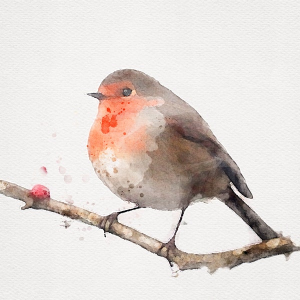 ROBIN Watercolor Bird on Branch, Robin Painting, European Robin, Robin Artwork, Bird Prints 8x10, Cute Bird Painting, Watercolor Bird 8x10