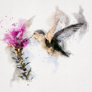 Rufous Hummingbird, Hummingbird with Flowers, Hummingbird Download, Watercolor Hummingbird Painting, Hummingbird Print 8x10 Watercolor Print