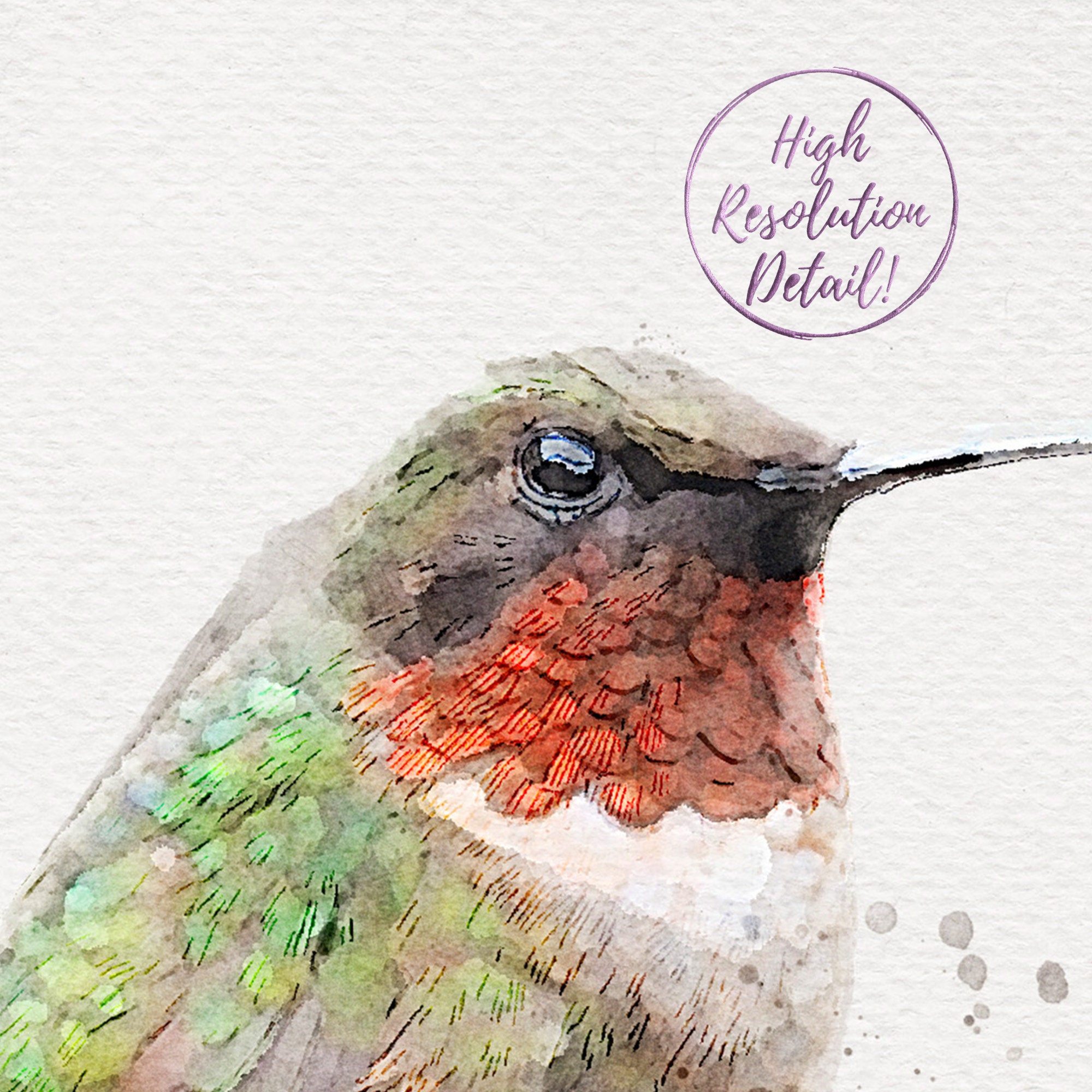 download kolibri download kolibri