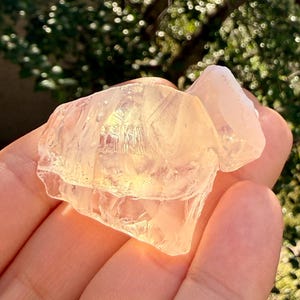 May include: A hand holds a translucent, irregularly shaped crystal with a pale yellow hue. The crystal has a rough, textured surface and appears to be catching the sunlight. The background features blurred green foliage.