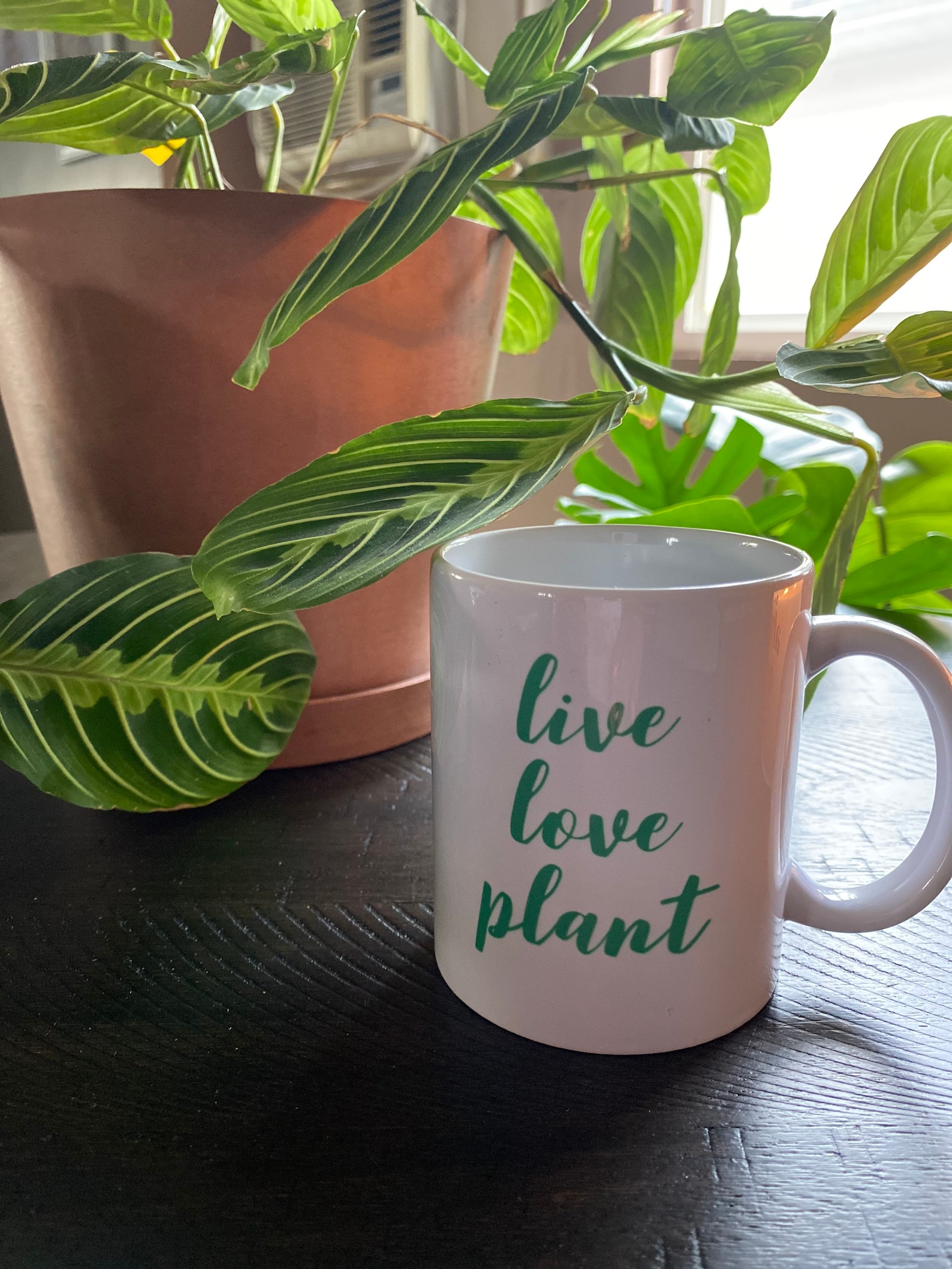 Live Love Plant Mug, White Mug, Plant Mug, Birthday Gift, Gift for Mom