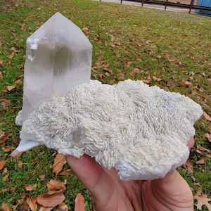 May include: A clear quartz crystal point stands next to a cluster of white, textured mineral formations. The quartz crystal is a transparent, geometric shape. The cluster has a rough, layered appearance, with a light beige color.