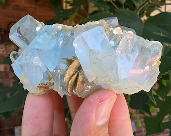May include: A cluster of pale blue aquamarine crystals with a crystalline structure. The crystals have a translucent quality, with some areas appearing more opaque. The specimen is held in a hand, with green foliage in the background.