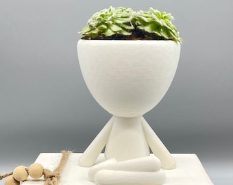 Zen Plant Pot Robert: 3D Printed Succulent Planter