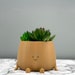 see more listings in the Planter Pots section