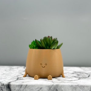 Happy Face Planter, Smiling Plant Pot, Kawaii Cute Cute Plant Pot