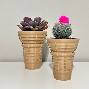 May include: Two small succulent plants in brown waffle cone-shaped planters. The plant on the left is a purple succulent and the plant on the right is a green cactus with a pink flower.
