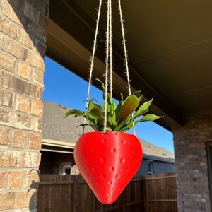 Strawberry Hanging Planter Pot - hanging kit included - 3D Printed Planter - Strawberry Vase - handmade planter