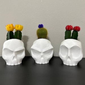 3D Printed Skull Planter Pot: Gothic Home Decor