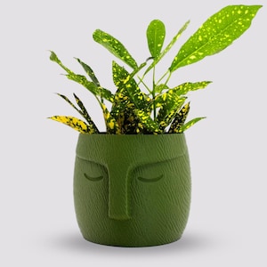 May include: A green ceramic planter shaped like a face with closed eyes. The planter is filled with a green and yellow variegated plant.