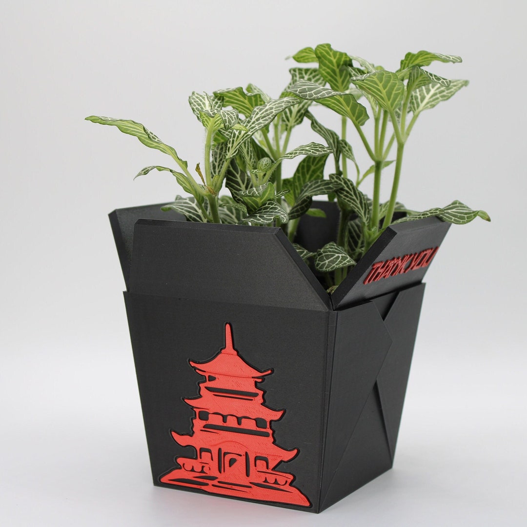 Chinese Planter Takeout Box NEW RELEASE FREE Two Chopsticks Chinese