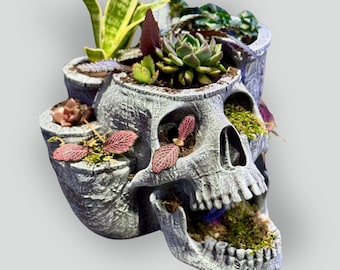 Skull garden planter With Drainage Tray - Skull Planter Pot - Succulent Planter - 3D Printed planter - halloween decor - Goth Decor Planter