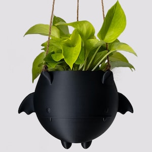 May include: A black hanging planter shaped like a bat with a green plant inside.