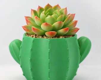 3D Printed Cactus Planter Pot – 4 Inch Opening, Pencil Holder, Home Decor