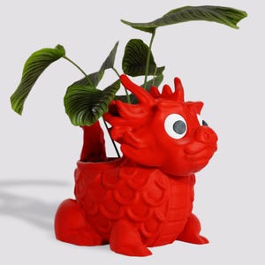 May include: A red ceramic dragon planter with large, white eyes. The planter is shaped like a dragon with a curled tail and a wide, open mouth. The planter is filled with green plants.