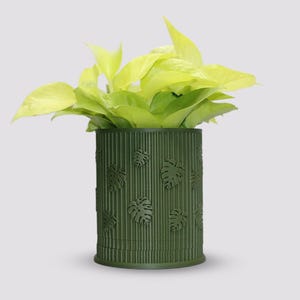 May include: A green planter with a textured bamboo design and a pattern of tropical leaves. A potted plant with light green leaves is inside the planter.