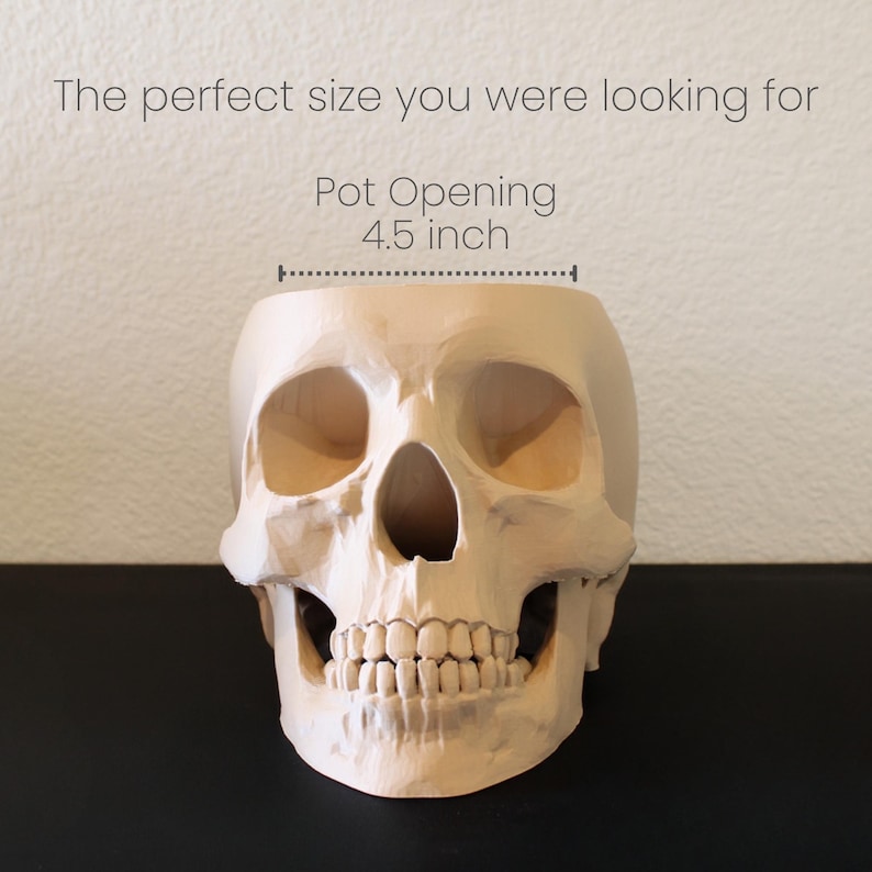 Peut inclure: Un pot en forme de cr&acirc;ne de couleur claire avec une ouverture de 11,4 cm. Le cr&acirc;ne pr&eacute;sente des traits faciaux d&eacute;taill&eacute;s, notamment des orbites, une cavit&eacute; nasale et des dents. Le texte sur l'image indique : "La taille parfaite que vous recherchiez" et "Ouverture du pot 4,5 pouces".