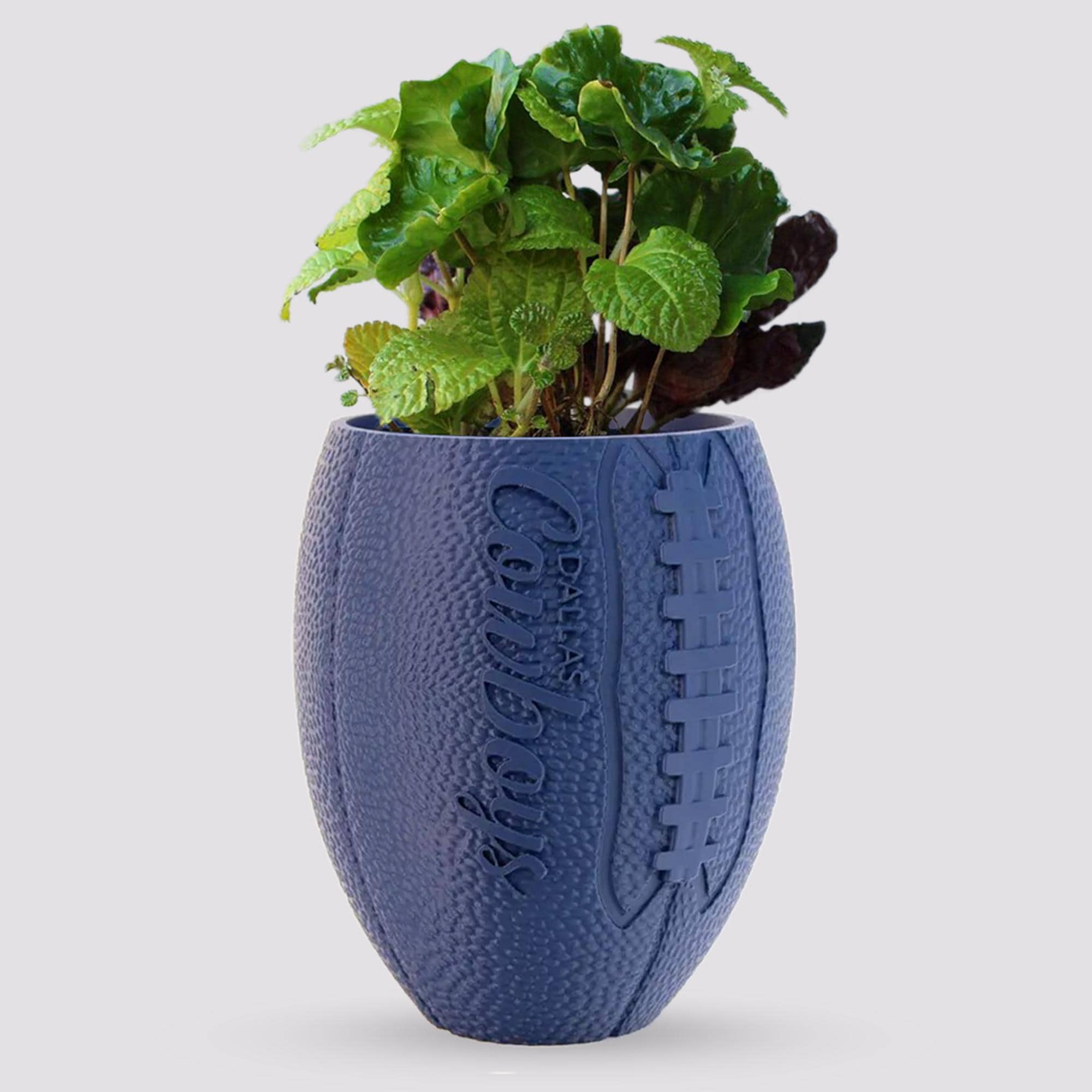 Candy Planter - Etsy