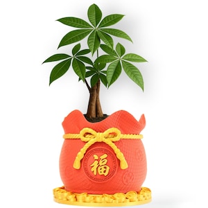 May include: A money tree plant in a red pot shaped like a money bag. The pot has a yellow bow and the Chinese character for fortune. The plant has green leaves and a brown trunk. The pot sits on a yellow base with coin details.