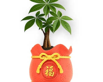 Lucky Money Bag Planter: 3D Printed Lunar New Year Decoration