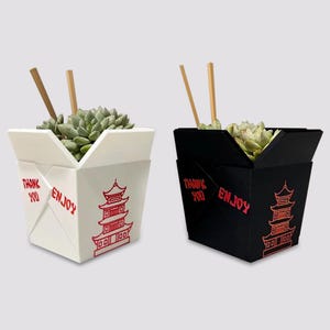 Chinese Planter Take-Out Box - FREE TWO CHOPSTICKS - Chinese Take out Planter - takeout chinese - 3D printed planter