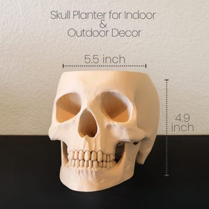 Peut inclure: Un pot en forme de cr&acirc;ne beige, d'environ 14 cm de large et 12 cm de haut, pour la d&eacute;coration int&eacute;rieure ou ext&eacute;rieure. Le pot pr&eacute;sente des traits faciaux d&eacute;taill&eacute;s, notamment des orbites, une cavit&eacute; nasale et des dents. Le texte "Skull Planter for Indoor & Outdoor Decor" est en haut.