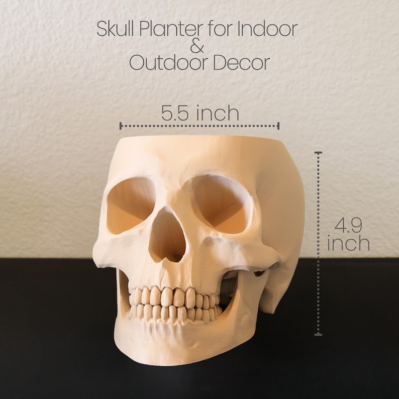 Peut inclure: Un pot en forme de cr&acirc;ne beige, d'environ 14 cm de large et 12 cm de haut, pour la d&eacute;coration int&eacute;rieure ou ext&eacute;rieure. Le pot pr&eacute;sente des traits faciaux d&eacute;taill&eacute;s, notamment des orbites, une cavit&eacute; nasale et des dents. Le texte "Skull Planter for Indoor & Outdoor Decor" est en haut.