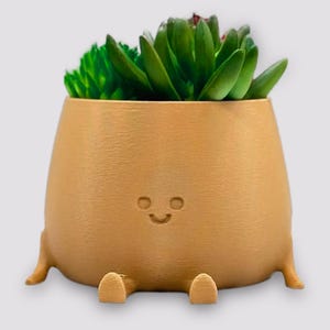 Happy Face Planter, Smiling Plant Pot, Kawaii Cute plant pot - Face Planters - Smiling Face Planter - Sitting Flower Pot