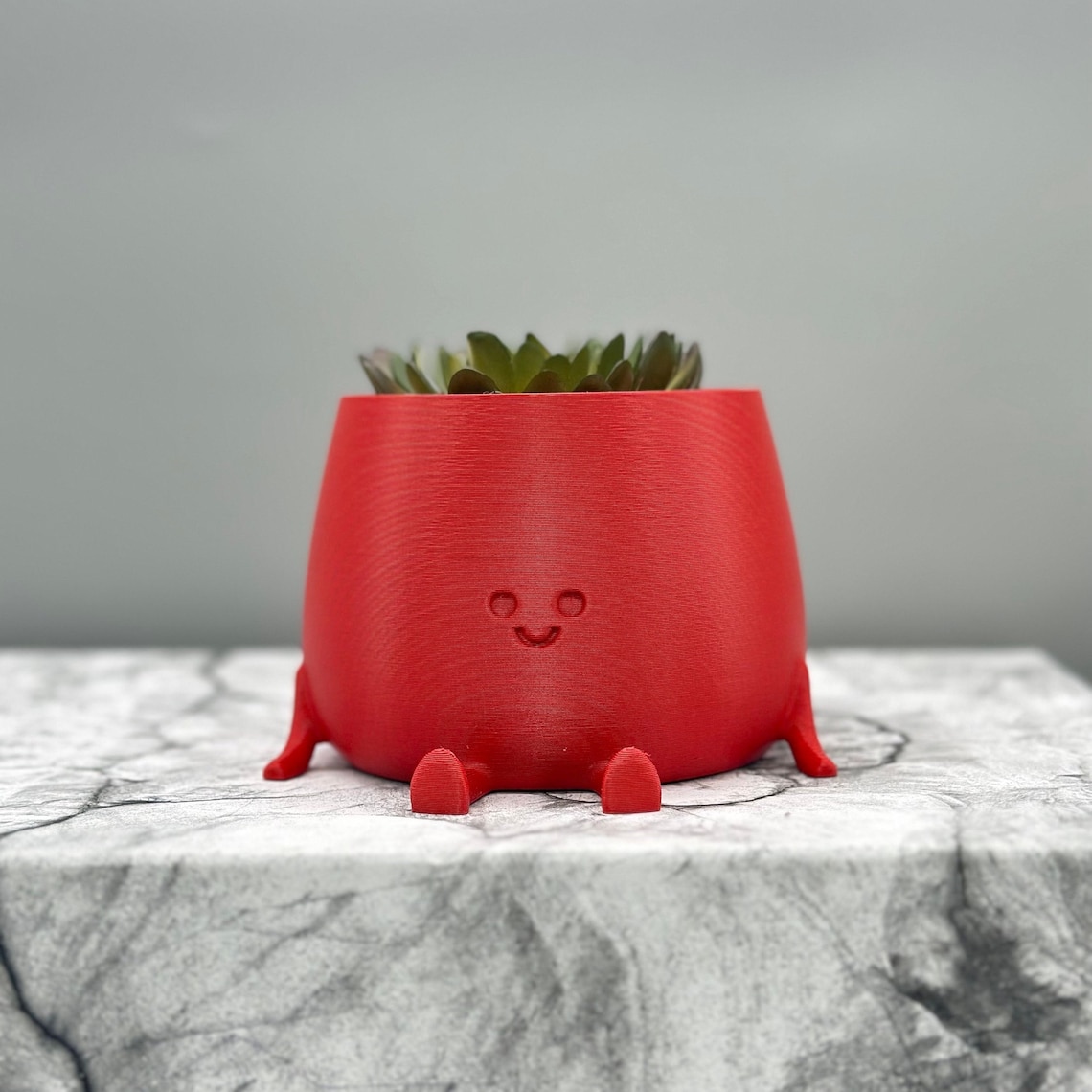Happy Face Planter Smiling Plant Pot Kawaii Cute Cute Plant Etsy