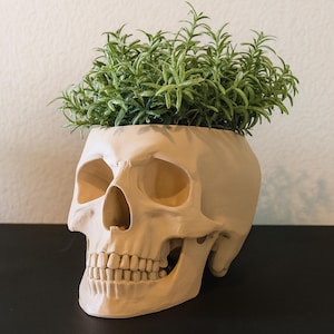 Skull Planter Pot - Plant pot 3D Printed - Human Skull Replica - Halloween decor - Plant Horror Gothic - Succulent Planter - Memento mori