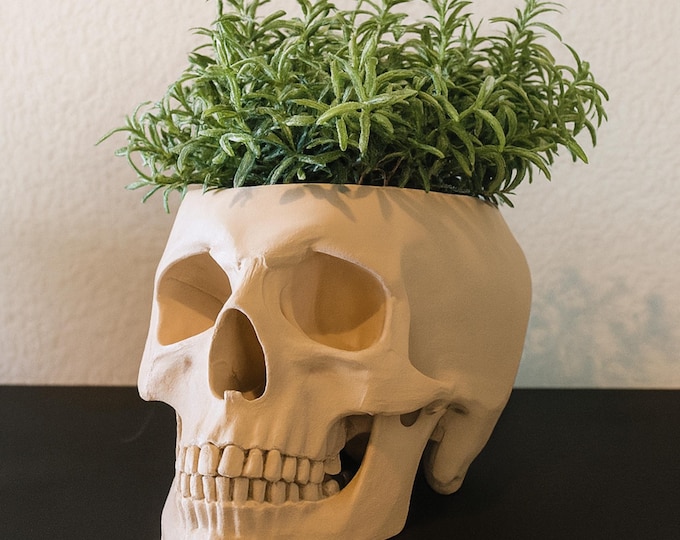 Skull Planter Pot - Plant pot 3D Printed - Human Skull Replica - Halloween decor - Plant Horror Gothic - Succulent Planter - Memento mori