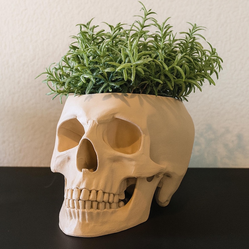 Peut inclure: Un pot de fleurs en forme de cr&acirc;ne beige rempli de plantes vertes &agrave; feuilles. Le pot pr&eacute;sente des traits faciaux d&eacute;taill&eacute;s, notamment des orbites, une cavit&eacute; nasale et des dents. La couleur verte de la plante contraste avec le ton neutre du cr&acirc;ne.