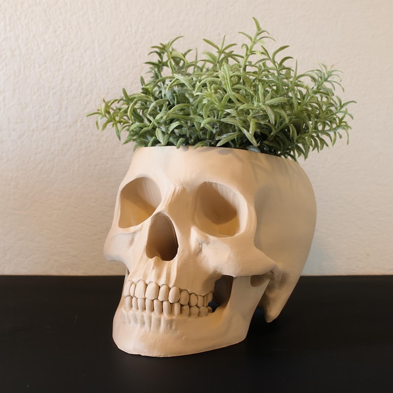 Peut inclure: Un pot de plante en forme de cr&acirc;ne beige rempli de plantes vertes. Le pot de cr&acirc;ne pr&eacute;sente des traits faciaux d&eacute;taill&eacute;s, notamment des orbites, une cavit&eacute; nasale et des dents. Les plantes vertes contrastent avec la couleur neutre du cr&acirc;ne.