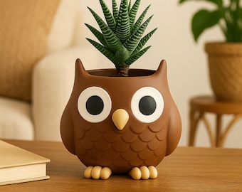 Owl Succulent Planter Pot – Cute Garden Decor, Teacher Gift