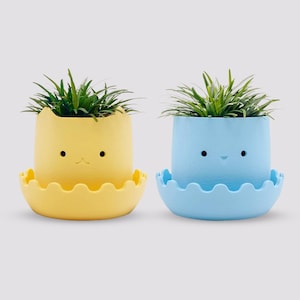 May include: Two colorful ceramic planters with cute faces and scalloped edges. The planters are filled with green plants and have a saucer underneath.