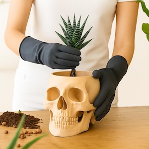 Peut inclure: Un pot de plante en forme de cr&acirc;ne beige contient une plante succulente verte et blanche. Le pot est tenu par des mains gant&eacute;es. De la terre et de petits cailloux sont sur la surface en bois. Un objet d&eacute;coratif unique.