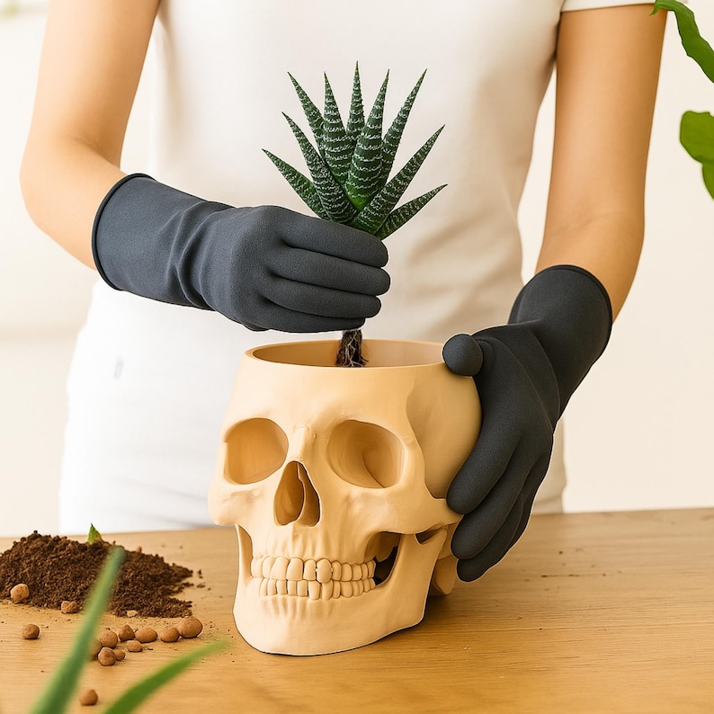 Peut inclure: Un pot de plante en forme de cr&acirc;ne beige contient une plante succulente verte et blanche. Le pot est tenu par des mains gant&eacute;es. De la terre et de petits cailloux sont sur la surface en bois. Un objet d&eacute;coratif unique.