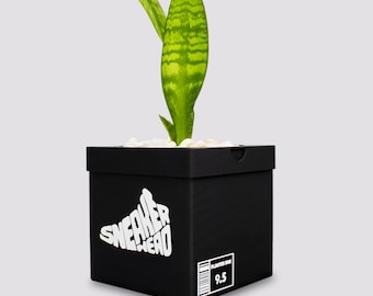 Sneakerhead Box Planter – 3D Printed Plant Pot, Sneaker Decor