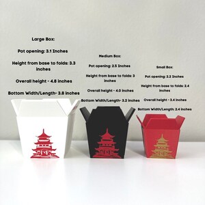 Chinese Planter Take-Out Box FREE TWO CHOPSTICKS Chinese Take out Planter 3D printed planter image 8