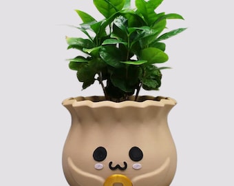 Kawaii Bao Bun Planter Pot: Smiling Face 3D Printed Planter Decor