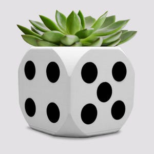 May include: White ceramic planter shaped like a dice with black dots. A succulent plant is growing in the planter.