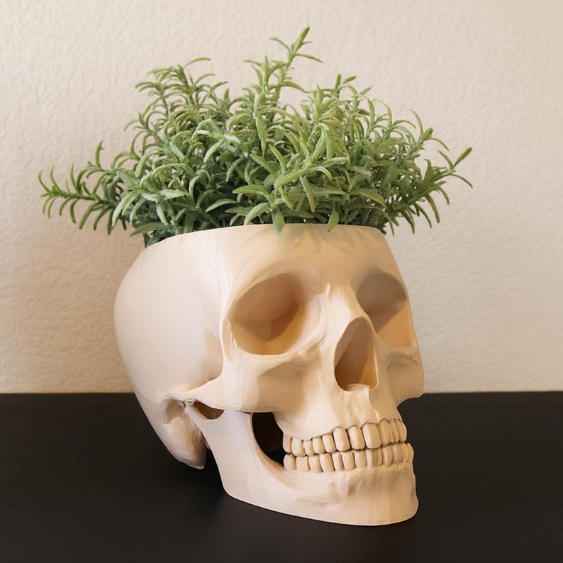 Peut inclure: Un pot de fleurs en forme de cr&acirc;ne de couleur cr&egrave;me, rempli de plantes vertes &agrave; feuilles. Le pot pr&eacute;sente des traits faciaux d&eacute;taill&eacute;s, notamment des orbites, une cavit&eacute; nasale et des dents. Le feuillage vert de la plante contraste avec le ton neutre du cr&acirc;ne.