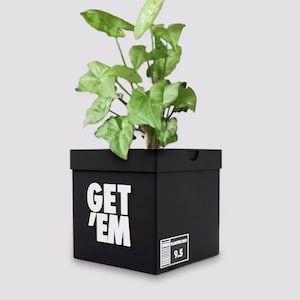 Get &#39;Em Sneakers Box Planter Pot - 3D Printed - Sneaker Room Decor - Sneaker Head Decor- Unique planter Get em for indoor with Drainage hole